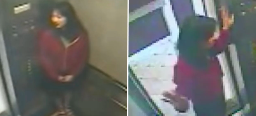 Elisa Lame: Elevator game